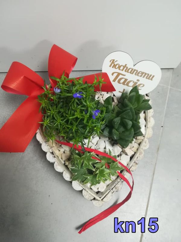 Lublin, kwiaty doniczkowe